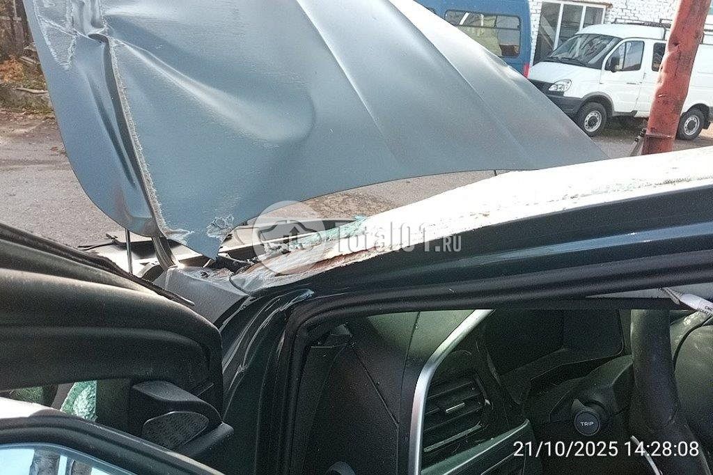 Фото Knewstar 1 334