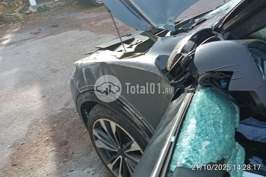 Фото Knewstar 1 342