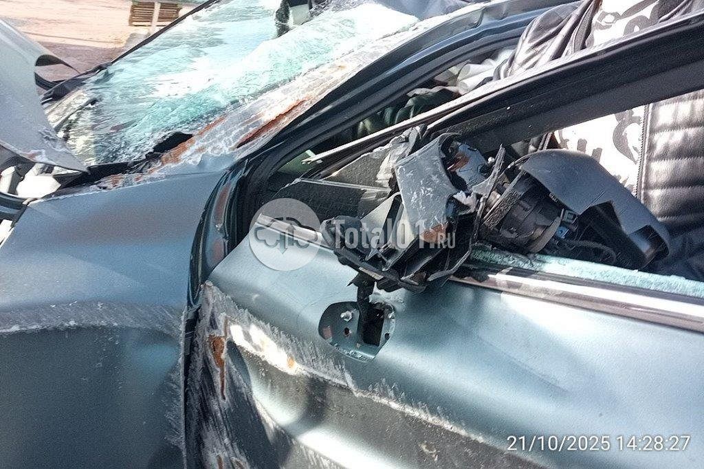 Фото Knewstar 1 348