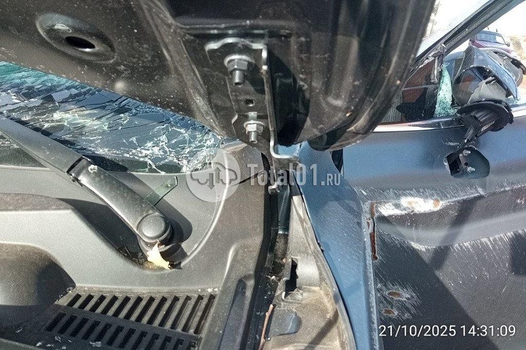 Фото Knewstar 1 362