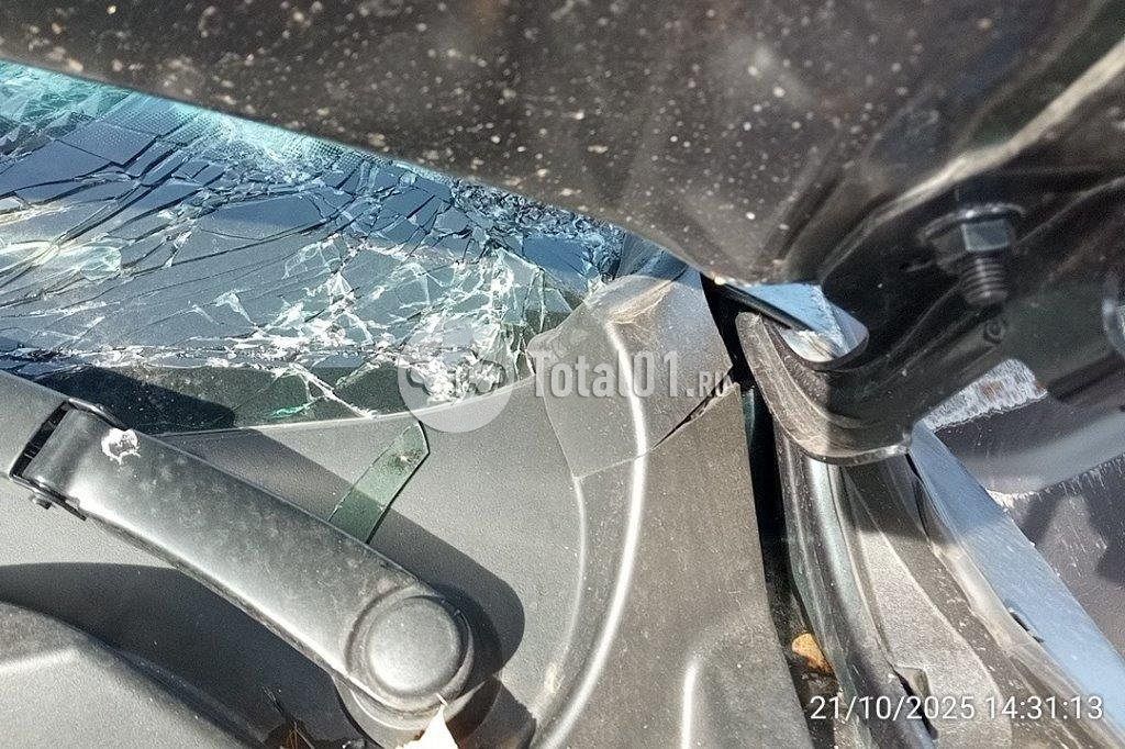 Фото Knewstar 1 364