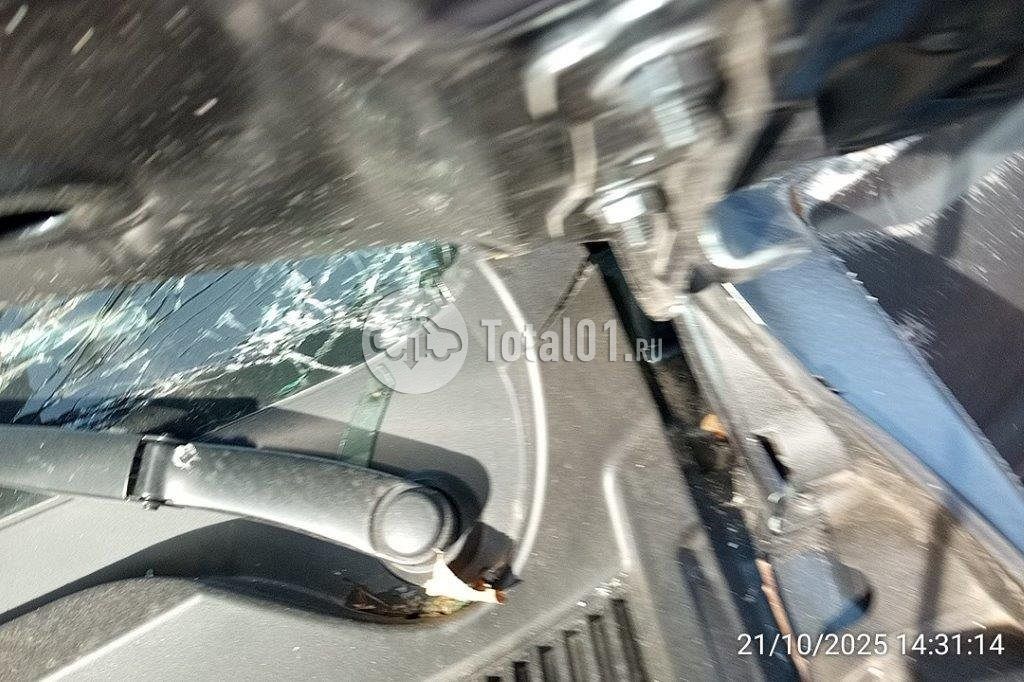 Фото Knewstar 1 366