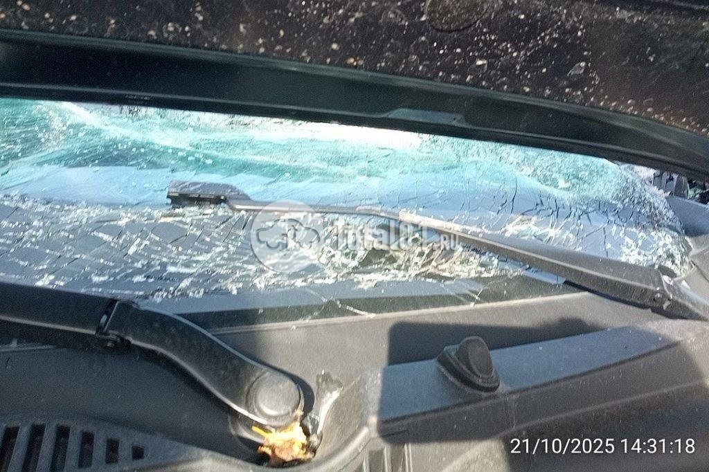 Фото Knewstar 1 368