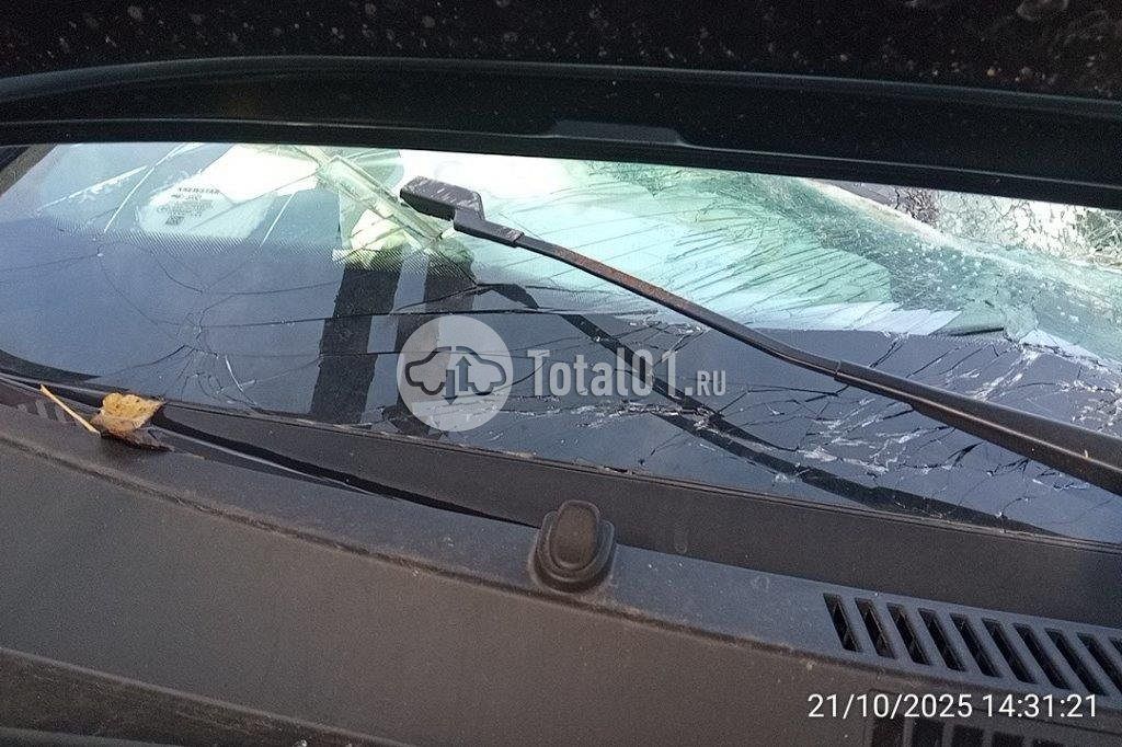 Фото Knewstar 1 370