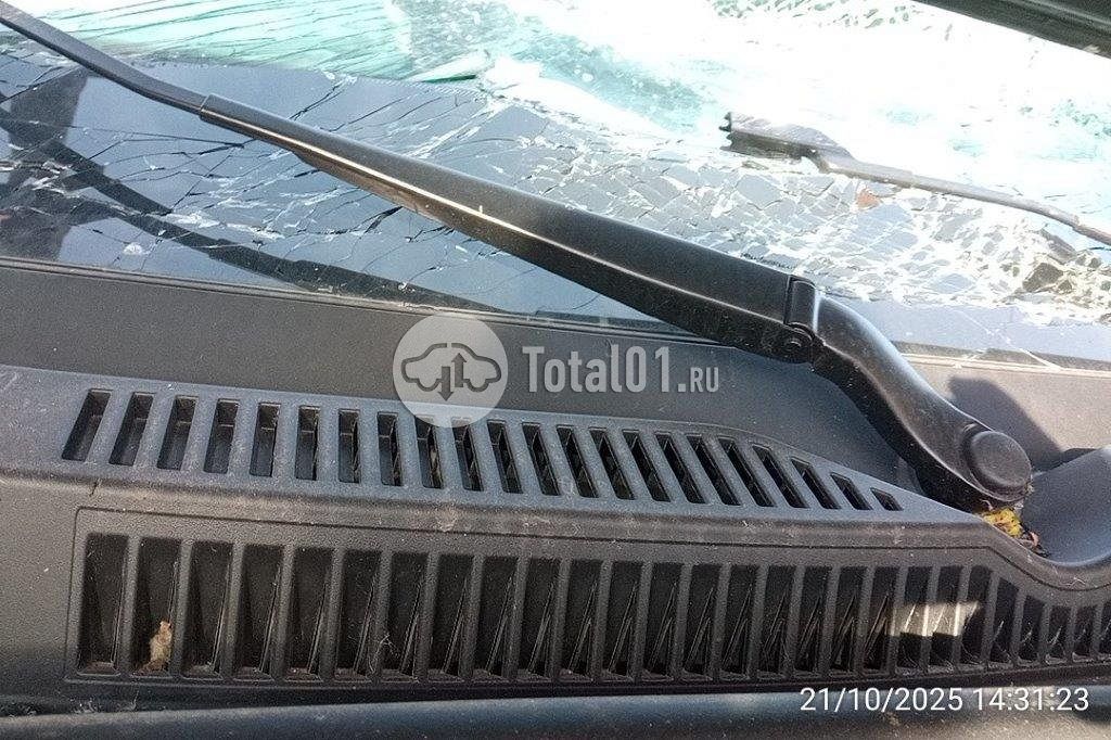 Фото Knewstar 1 372