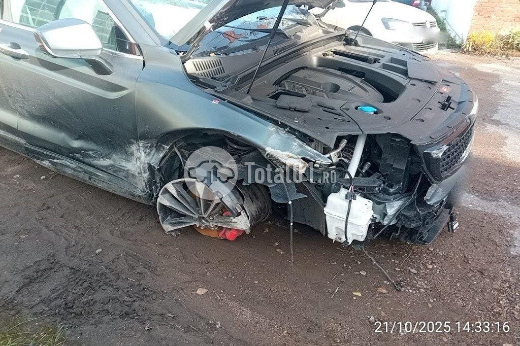 Фото Knewstar 1 386