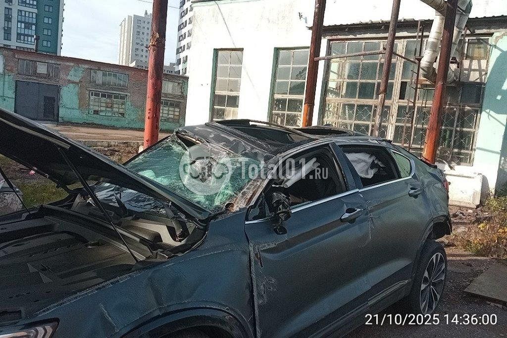 Фото Knewstar 1 410