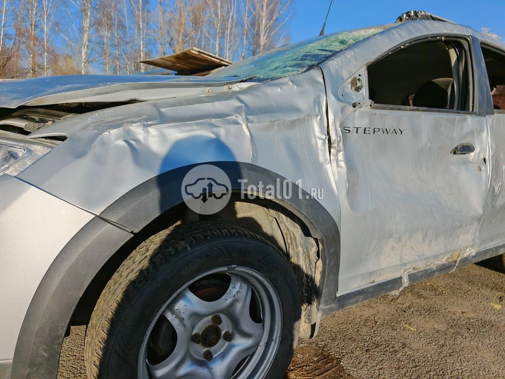 Фото Renault Sandero Stepway 66