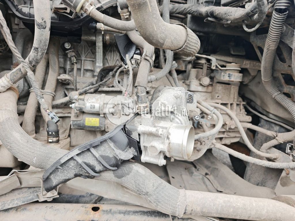 Фото Haval M6 50