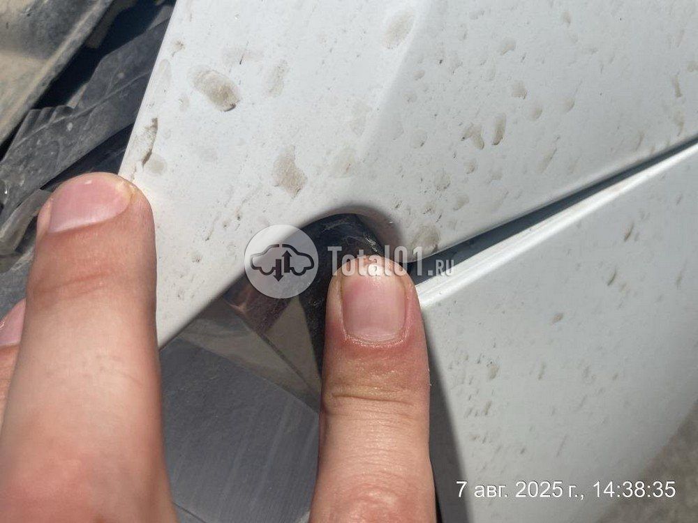 Фото Skoda Rapid 20