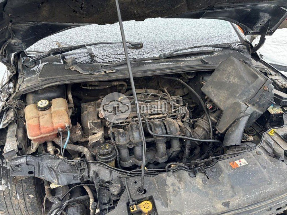 Фото Ford Focus 10