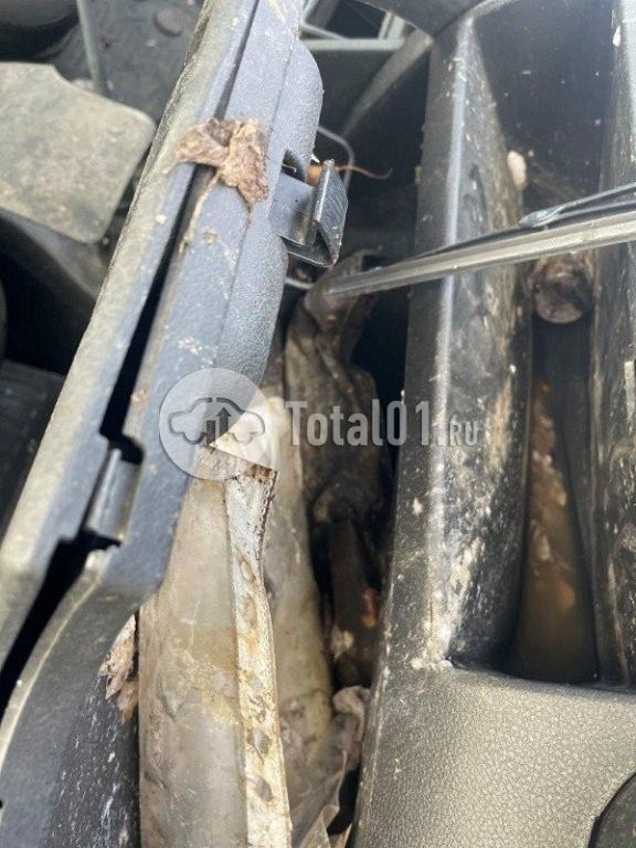 Фото ВАЗ (LADA) Niva 60