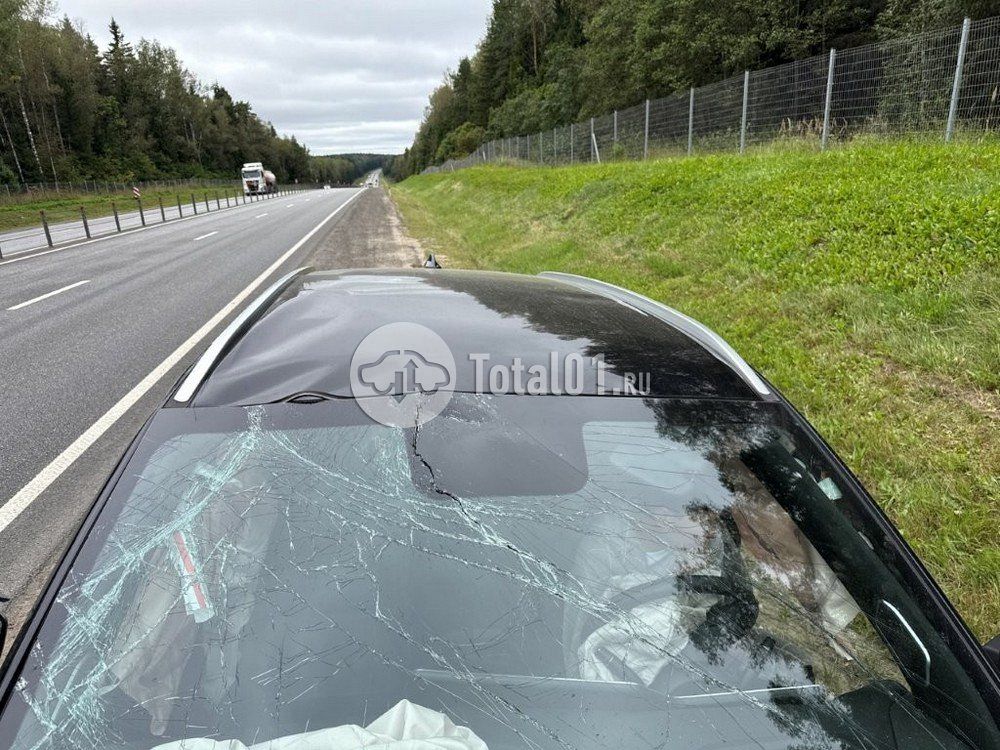 Фото Haval F7 38