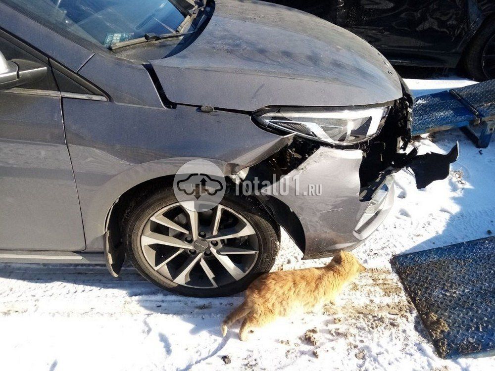 Фото OMODA S5 22