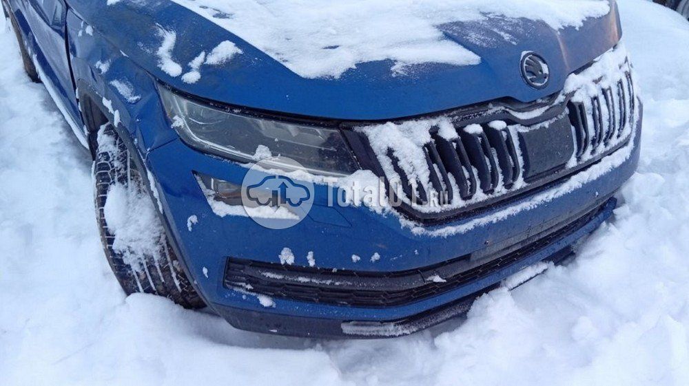 Фото Skoda Kodiaq 42