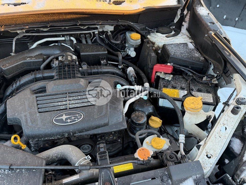 Фото Subaru Forester 192