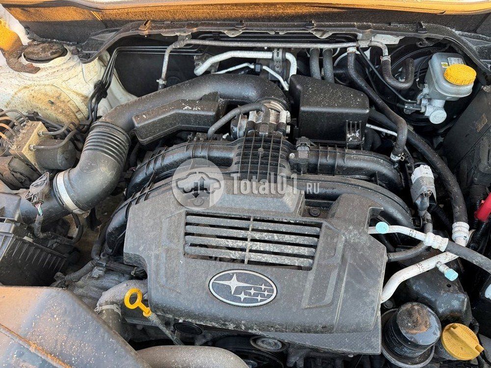 Фото Subaru Forester 196