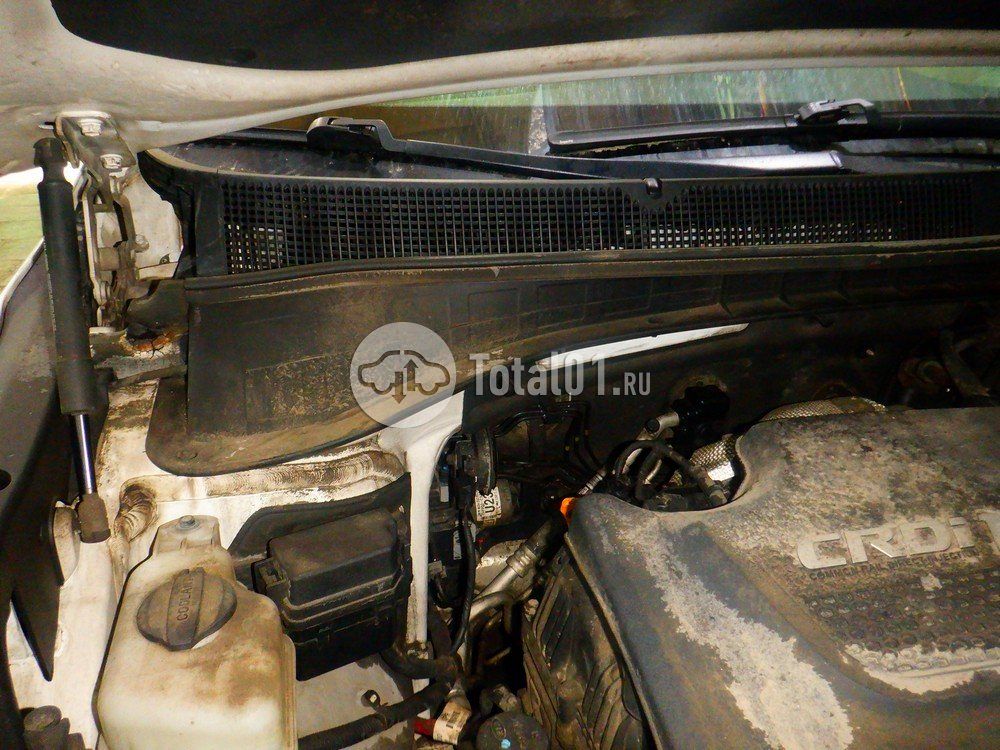Фото KIA Sorento 126