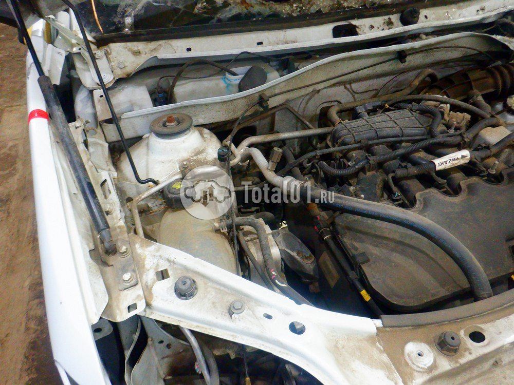 Фото Prima KUB 80