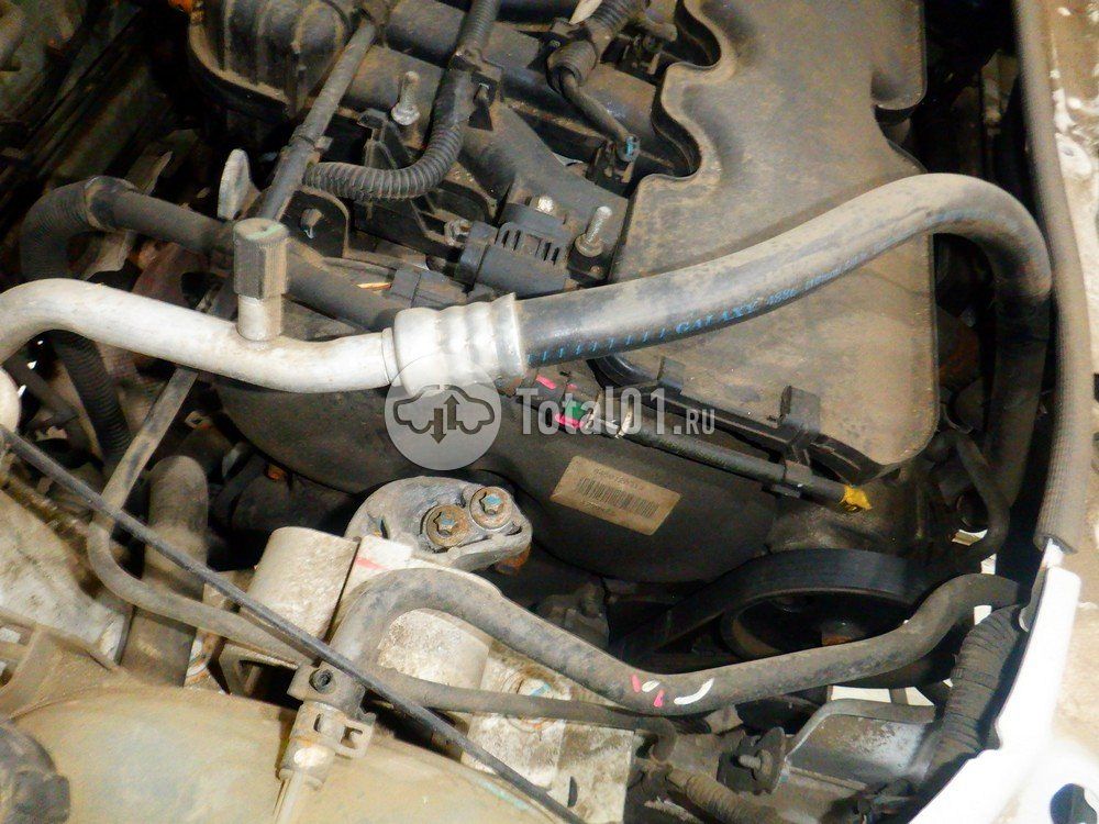 Фото Prima KUB 82