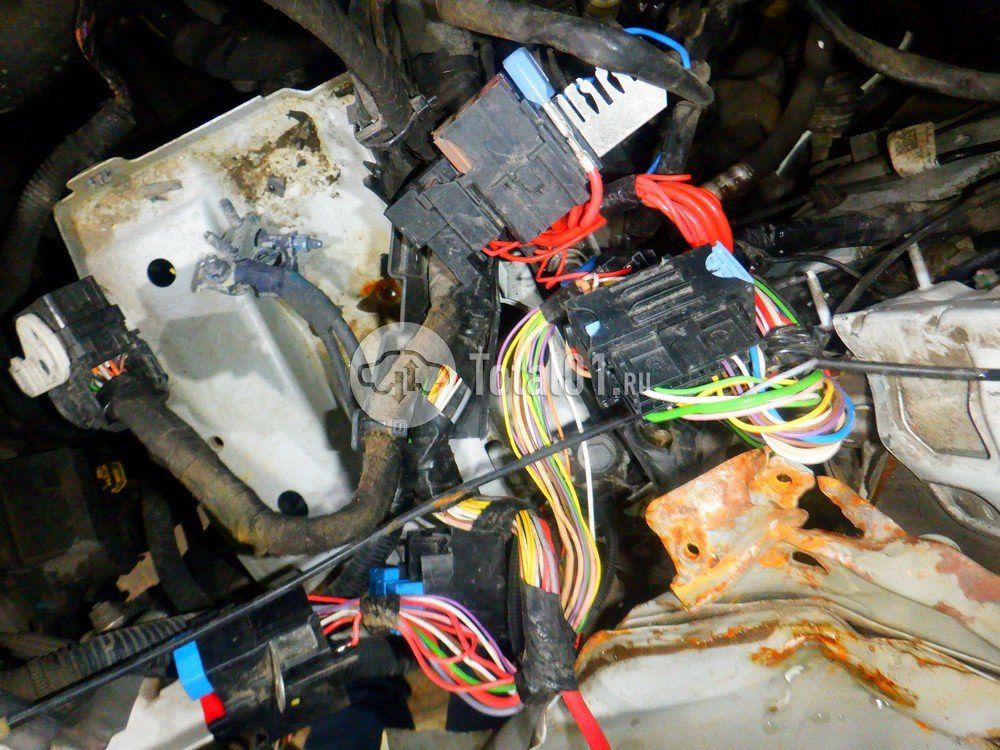 Фото Prima KUB 98