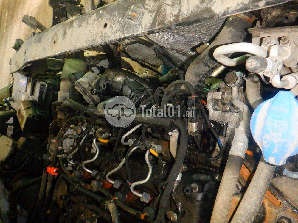 Фото KIA Carnival 146