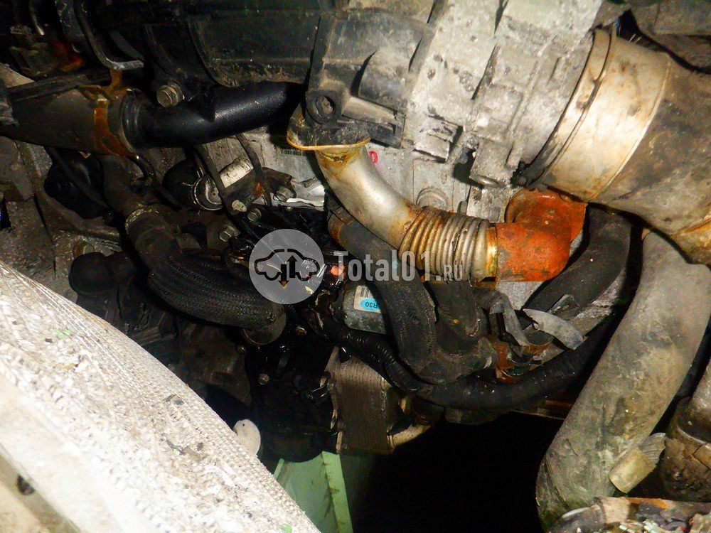 Фото KIA Carnival 178