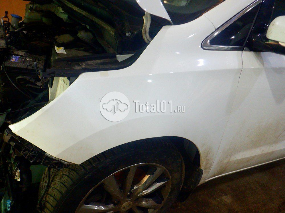 Фото KIA Carnival 298