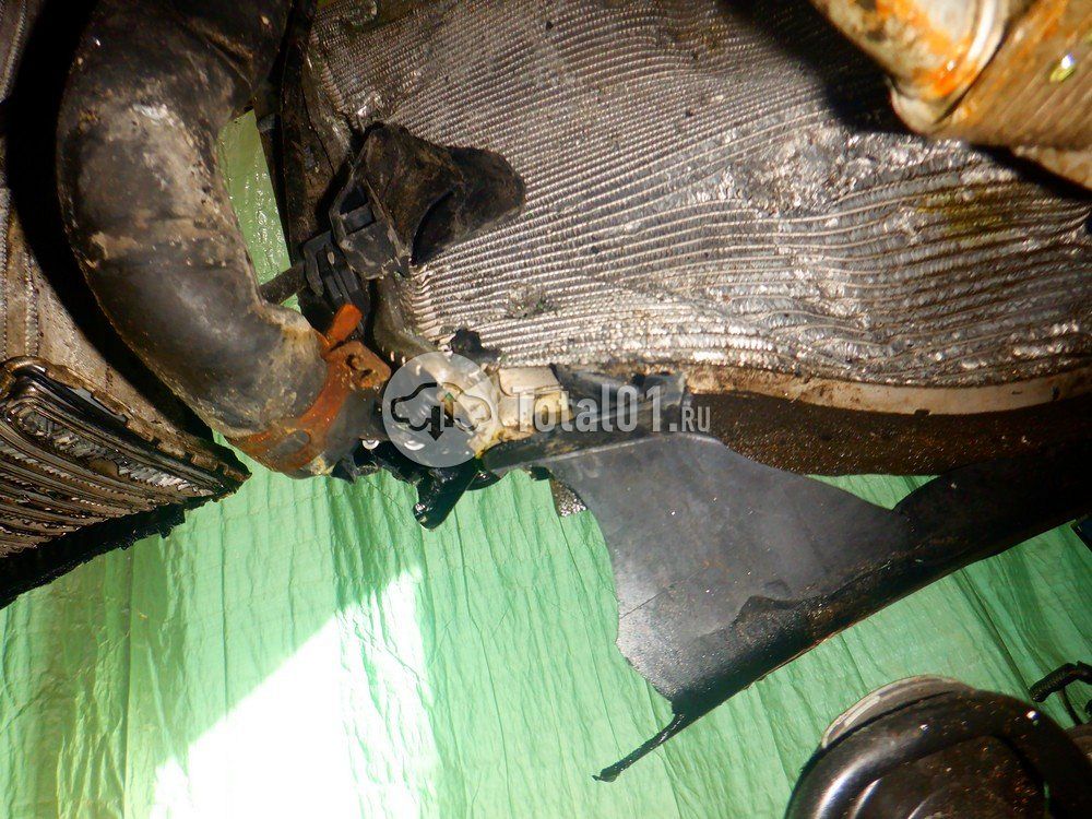 Фото KIA Carnival 312