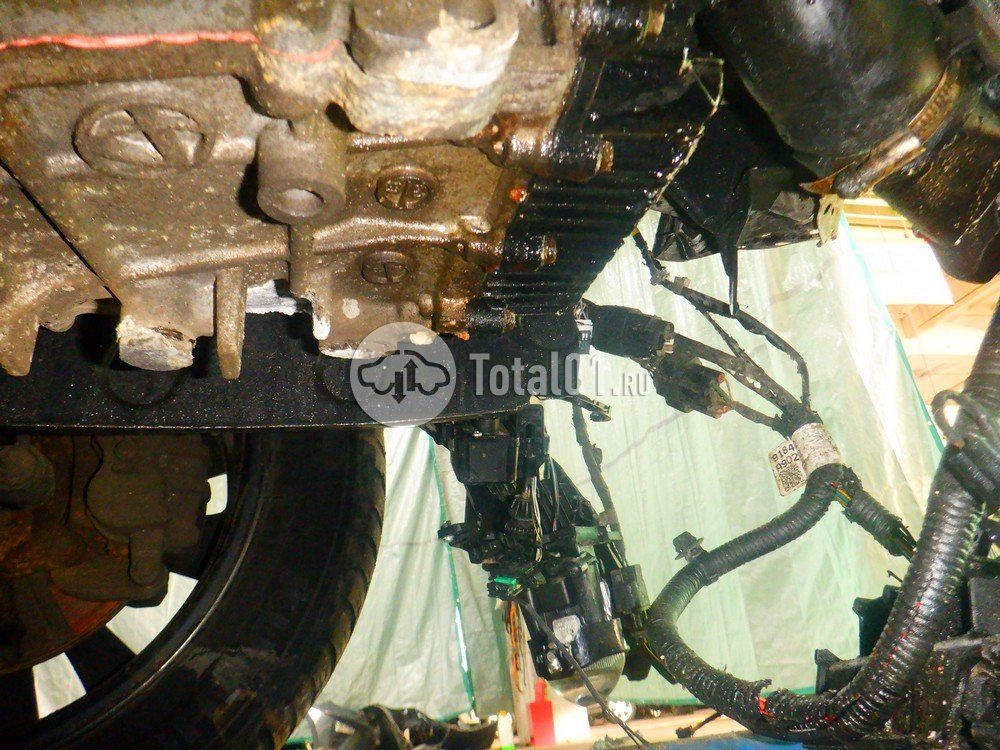 Фото KIA Carnival 332