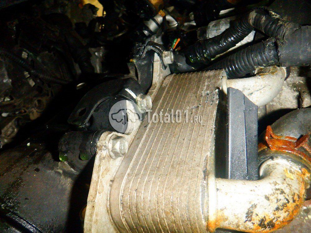 Фото KIA Carnival 348