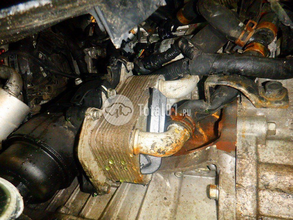 Фото KIA Carnival 350