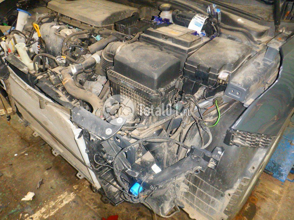 Фото KIA cee\'d 48