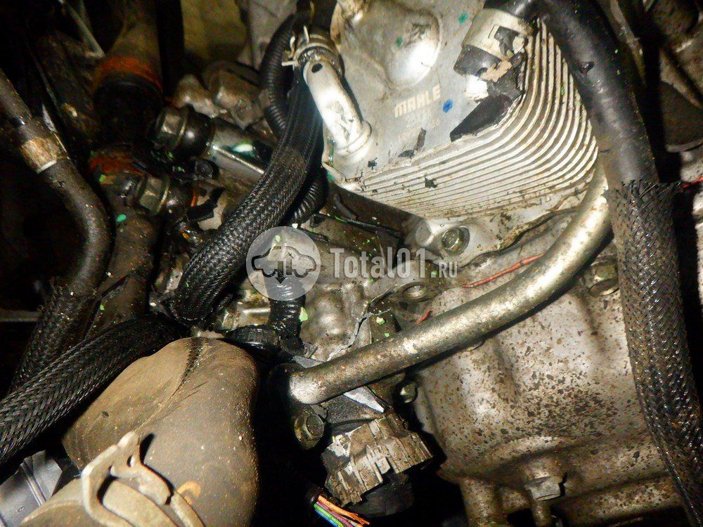Фото Nissan Qashqai 126