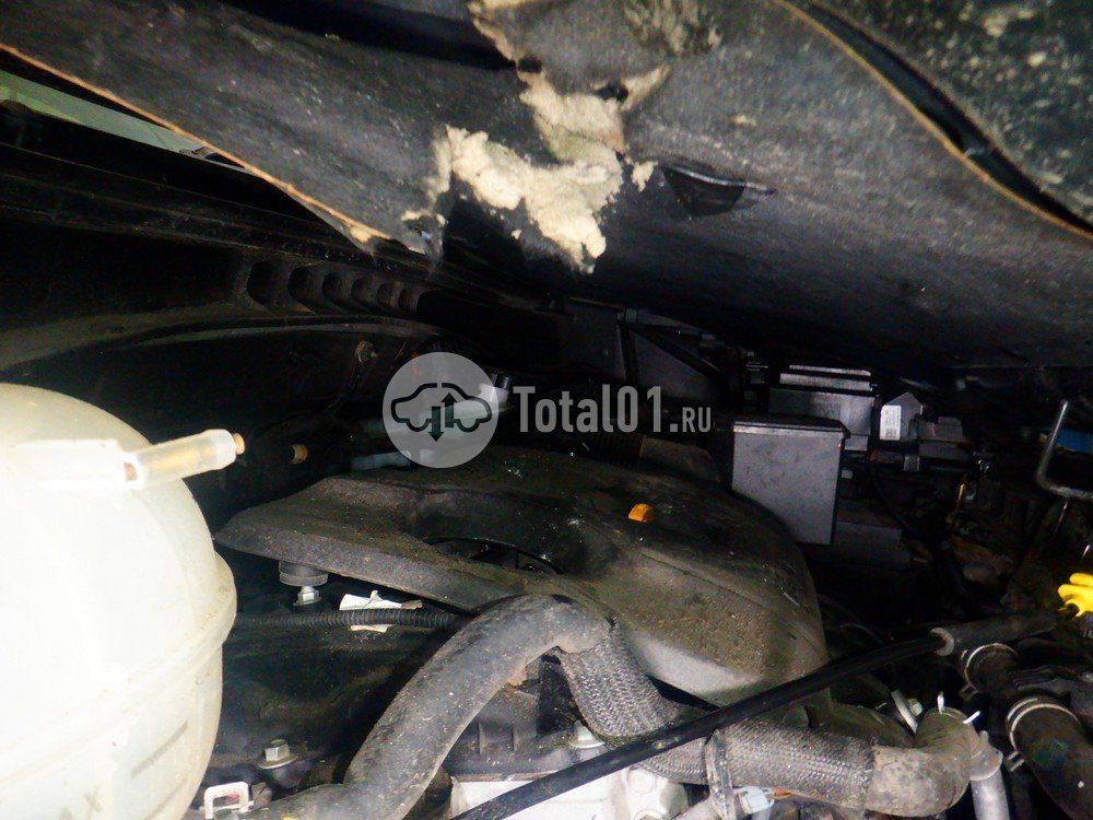 Фото KIA Sportage 196