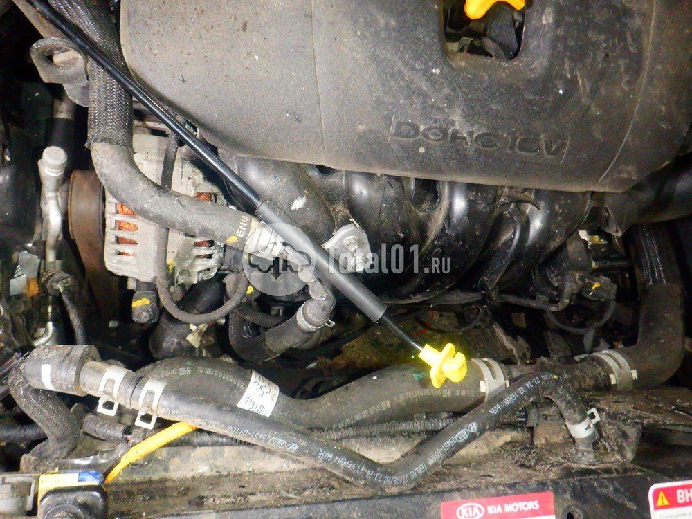 Фото KIA Sportage 220