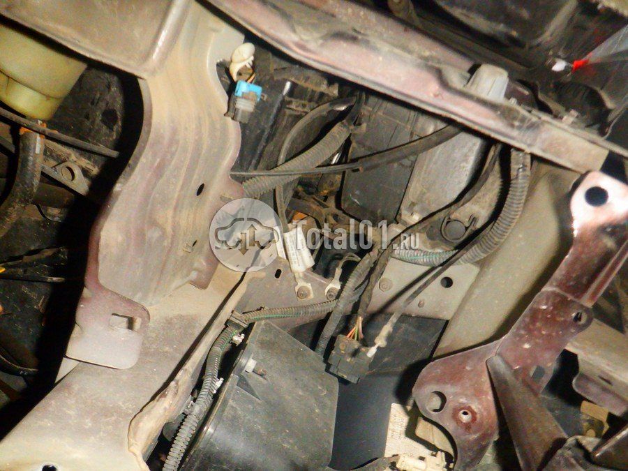 Фото Nissan Terrano 204