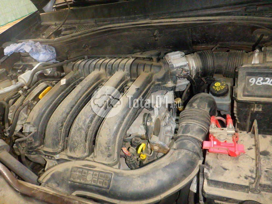 Фото Nissan Terrano 220