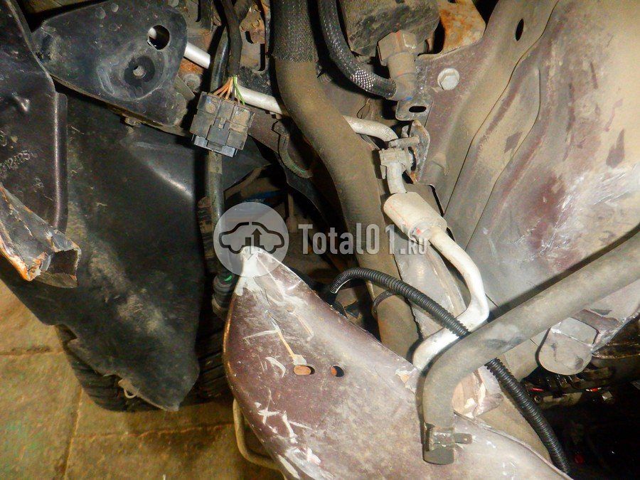 Фото Nissan Terrano 240