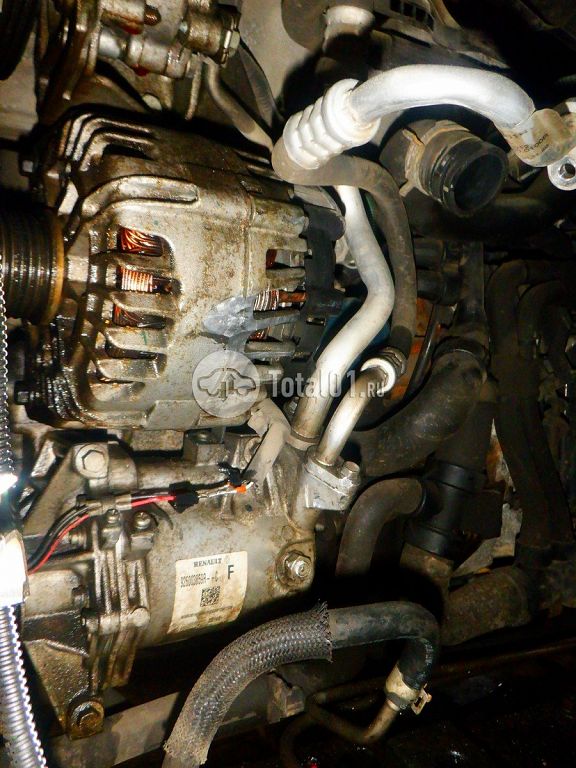 Фото Nissan Terrano 248
