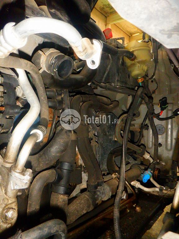 Фото Nissan Terrano 262