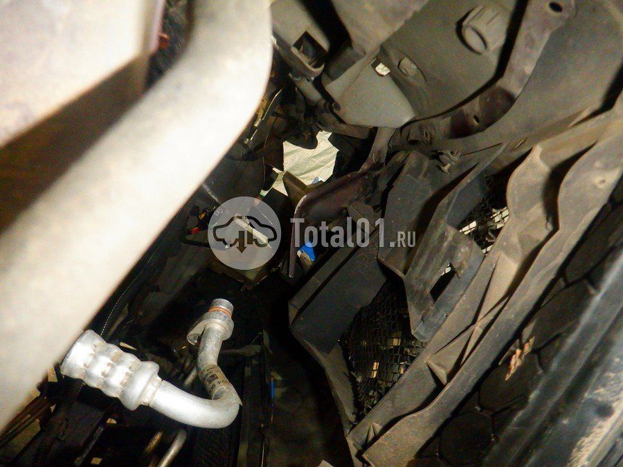 Фото Nissan Terrano 264