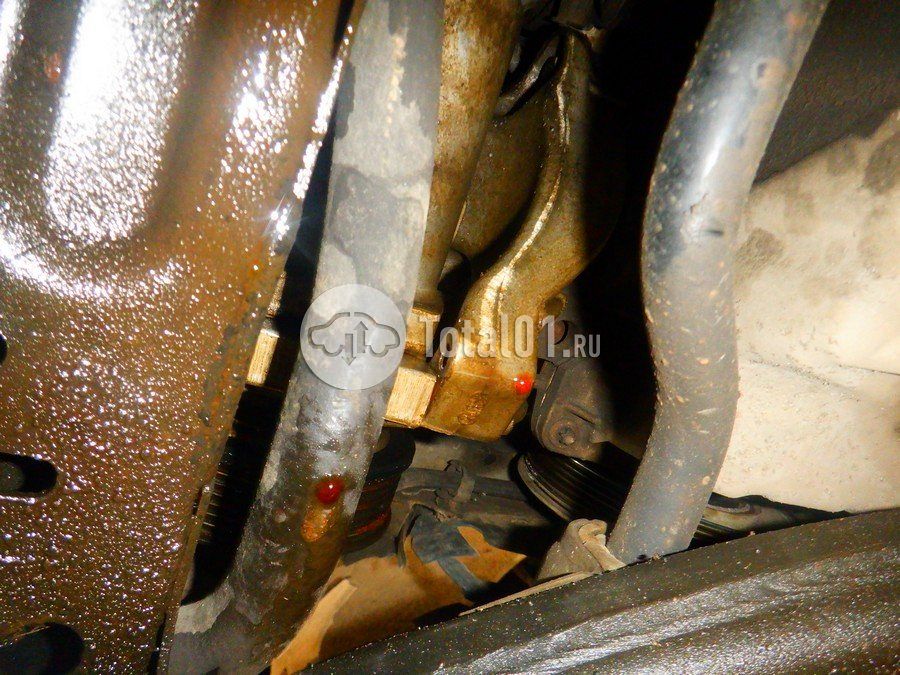 Фото Nissan Terrano 294