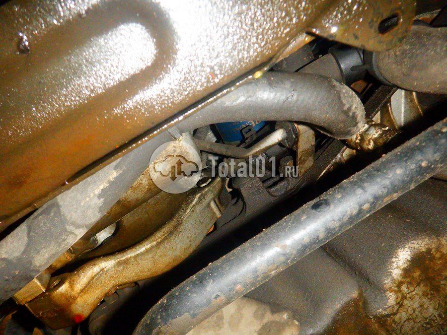 Фото Nissan Terrano 296