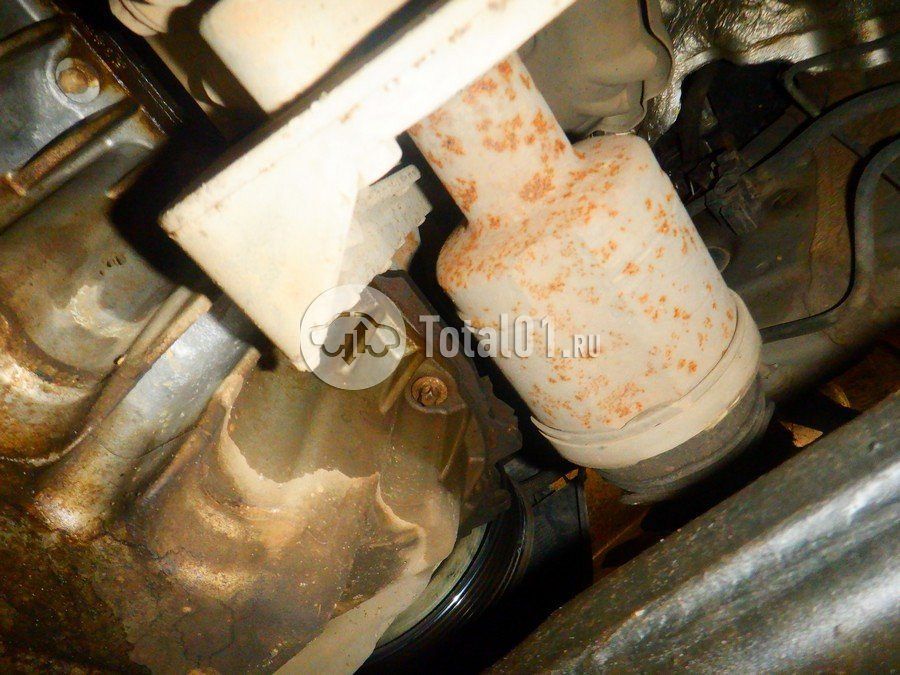 Фото Nissan Terrano 318