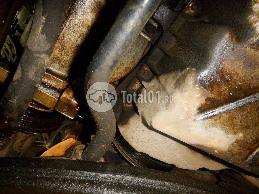 Фото Nissan Terrano 320
