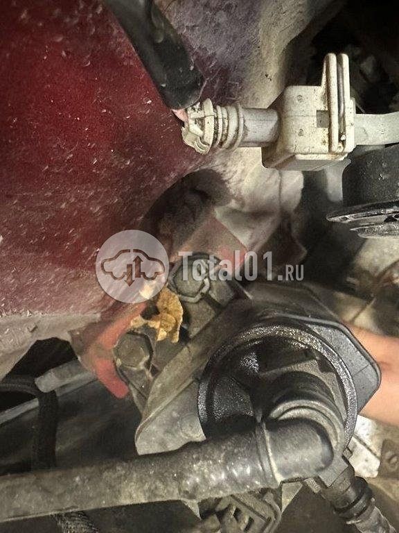 Фото Renault Sandero Stepway 94