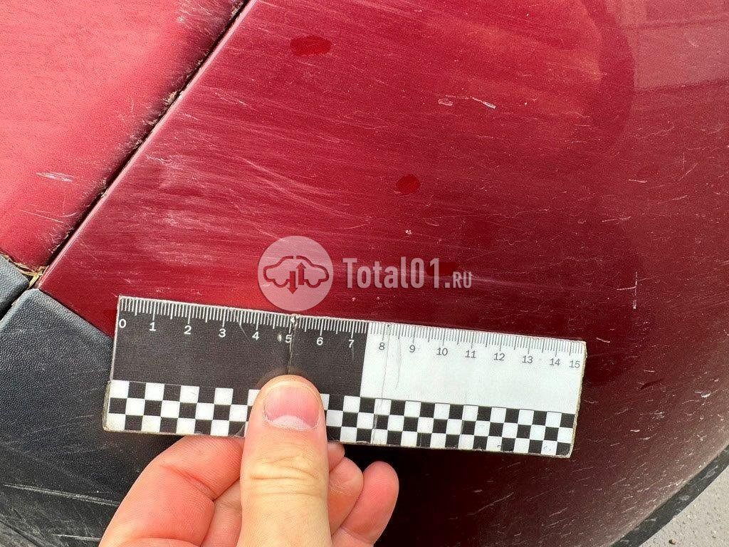 Фото Renault Sandero Stepway 442