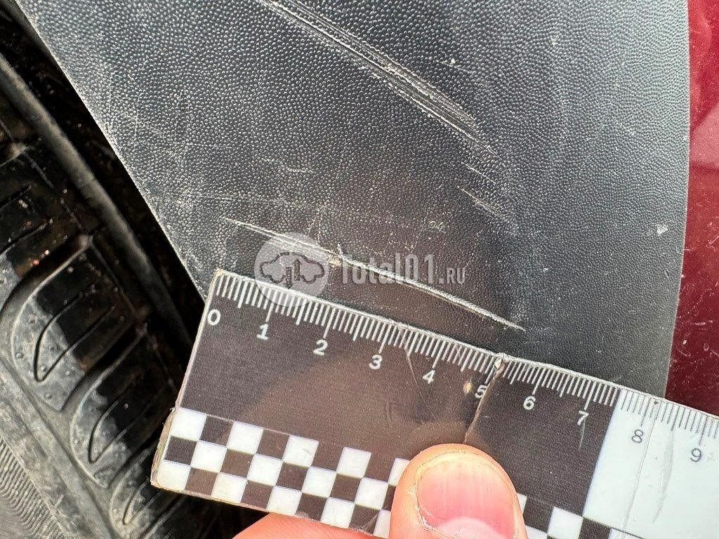 Фото Renault Sandero Stepway 444