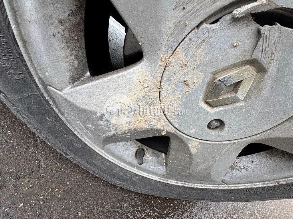 Фото Renault Sandero Stepway 472